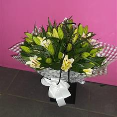 All lily &amp; foliage