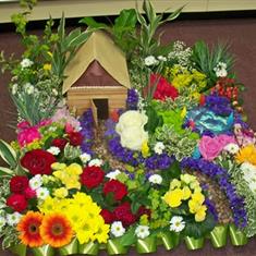 garden and shed