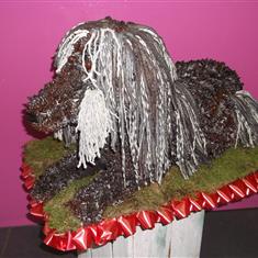 dog