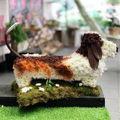 3d dog