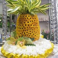 Pineapple 