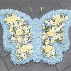 Blue butterfly 