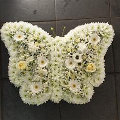 White butterfly