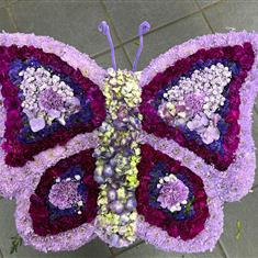 Purple luxury butterfly 