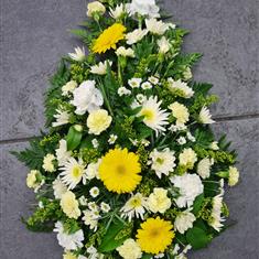 Yellow white oasis