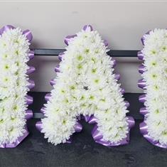 NAN 09